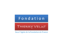 Fondation Thierry Velut